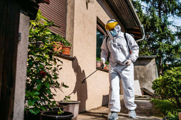 Best Best Pest Control Companies  in Bishop, TX