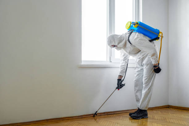 Trusted Bishop, TX Pest Control Experts