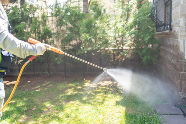 Best Affordable Pest Control Services  in Bishop, TX