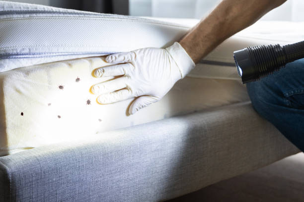Best Best Pest Control Companies  in Bishop, TX