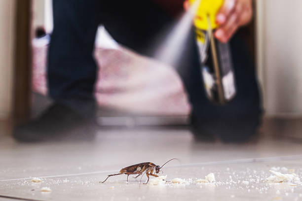 Bishop, TX Pest Control Company