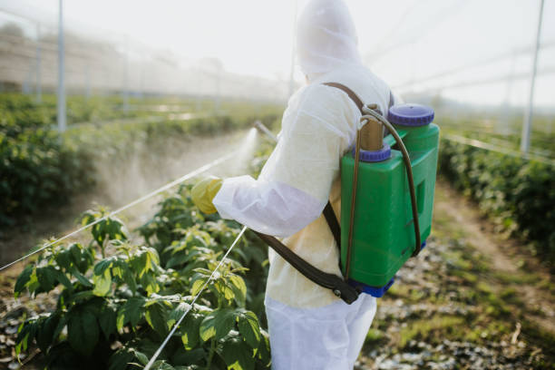 Best Flea Control Services  in Bishop, TX